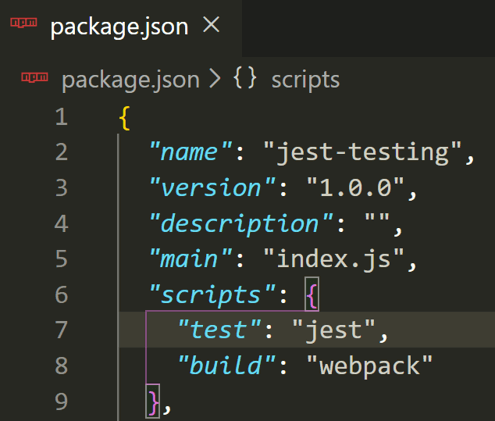package.json